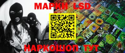 МДПВ Можга