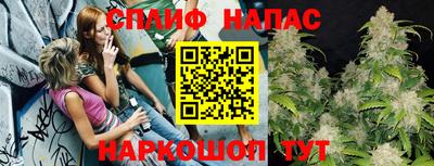 МДПВ Можга