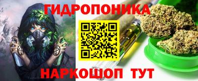 МДПВ Можга