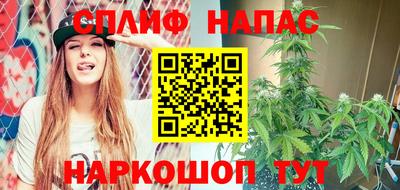 МДПВ Можга