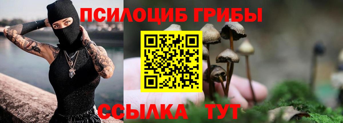 Псилоцибиновые грибы MAGIC MUSHROOMS  Галлюциногенные грибы Psilocybe  Соль-Илецк  Вход с VPN 
